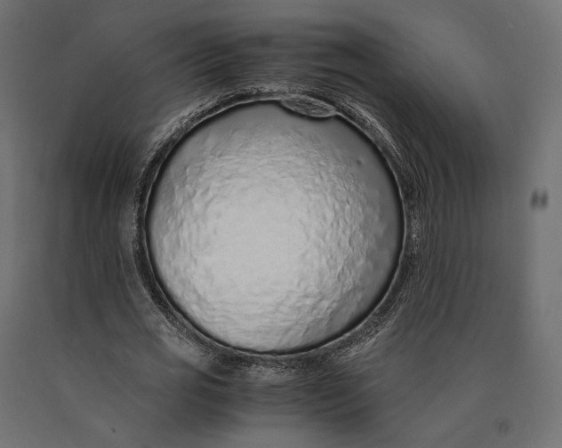 X0000090450725200708031217