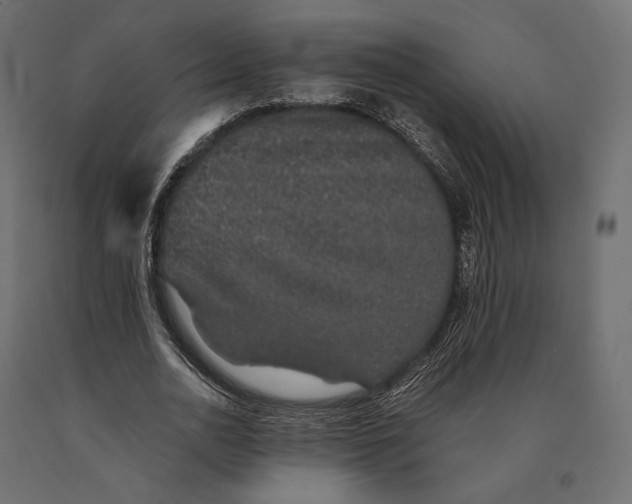 X0000090450726200708031217