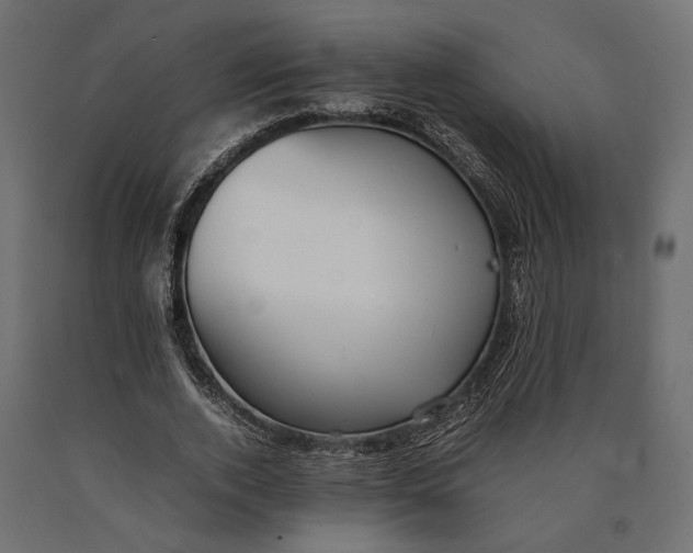 X0000090450728200708031217