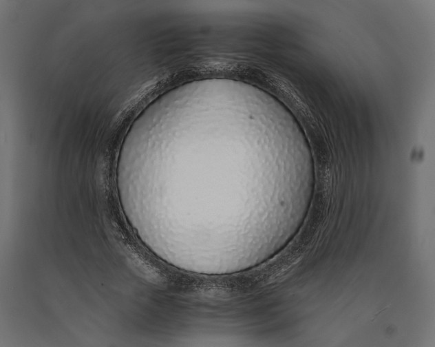 X0000090450729200708031217