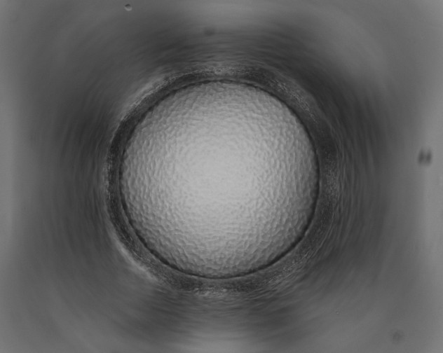 X0000090450730200708031217