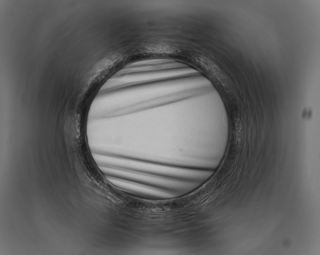 X0000090450731200708031217