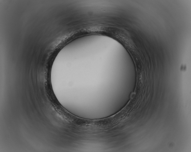 X0000090450732200708031217