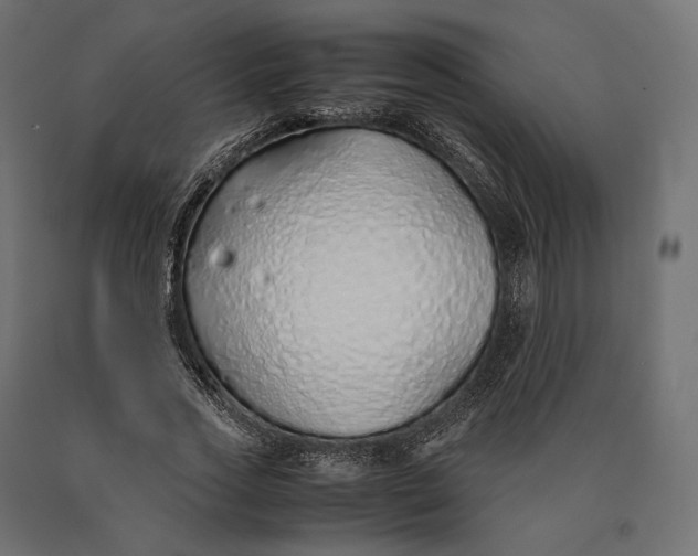 X0000090450733200708031217