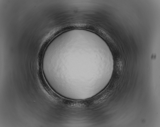 X0000090450734200708031217