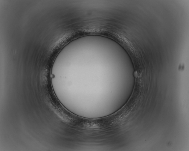 X0000090450735200708031217