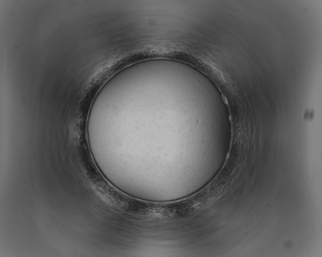 X0000090450736200708031217