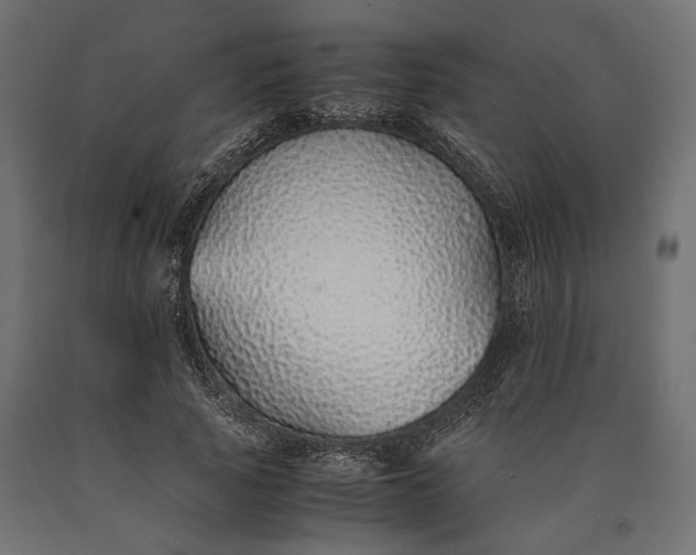 X0000090450737200708031217