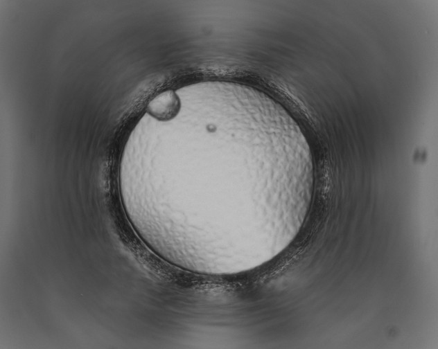 X0000090450738200708031217