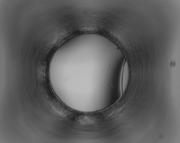 X0000090450739200708031217