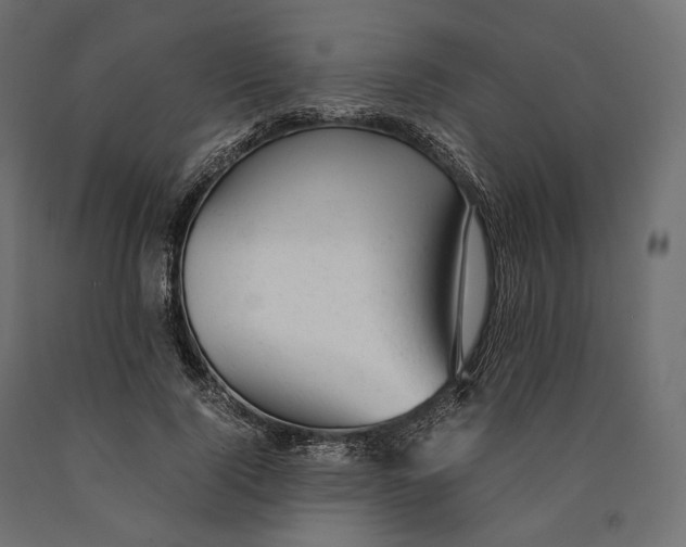 X0000090450740200708031217