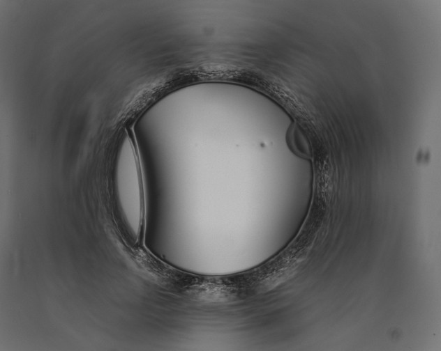 X0000090450742200708031217