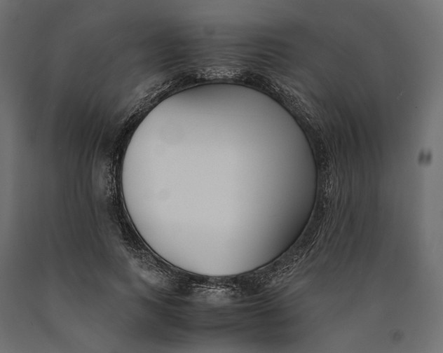 X0000090450743200708031217