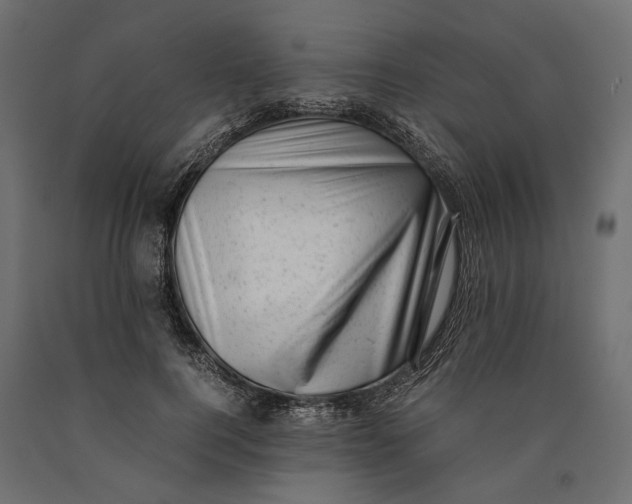 X0000090450744200708031217