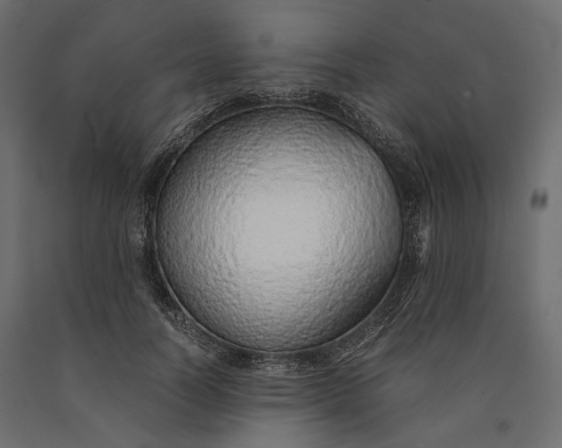 X0000090450746200708031217