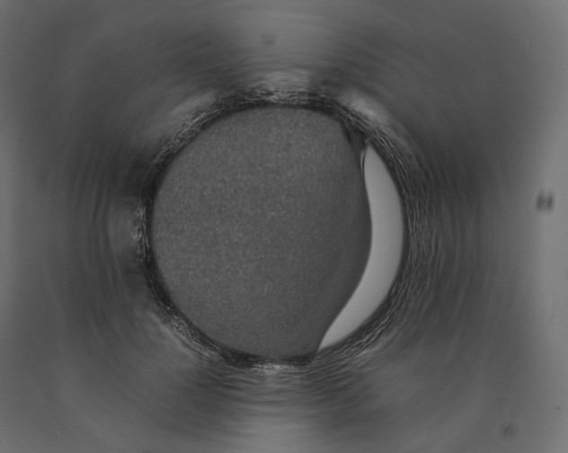 X0000090450748200708031217