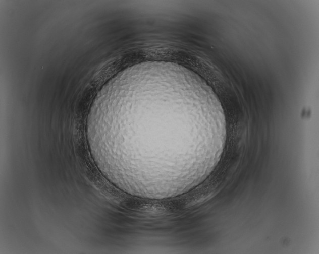 X0000090450749200708031217