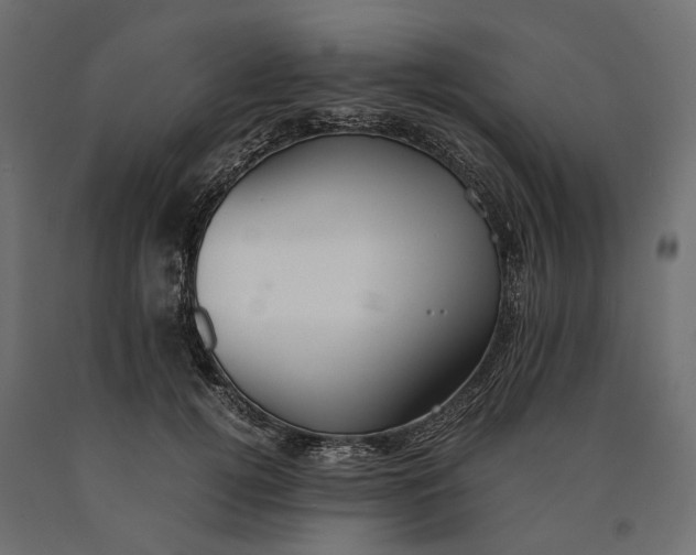 X0000090450752200708031217