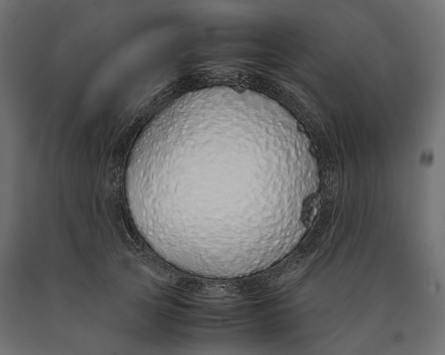 X0000090450753200708031217