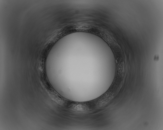 X0000090450755200708031217