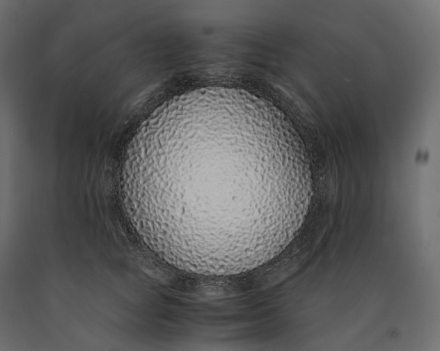 X0000090450757200708031217