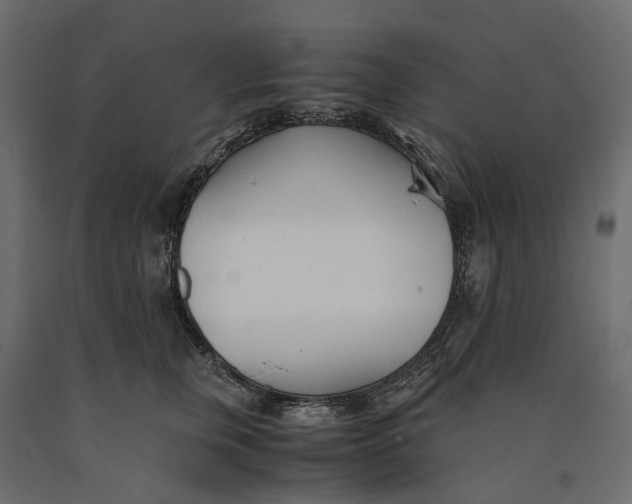 X0000090450759200708031217