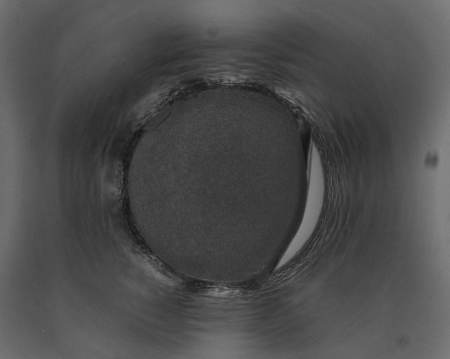 X0000090450760200708031217