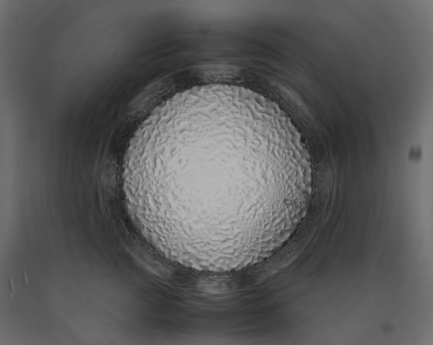 X0000090450761200708031217