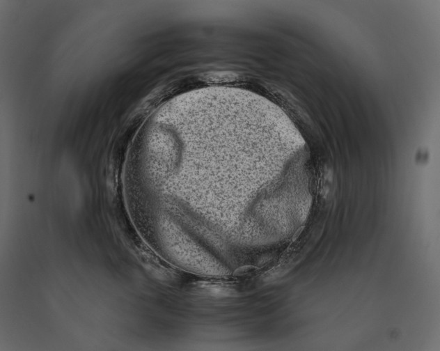 X0000090450763200708031217