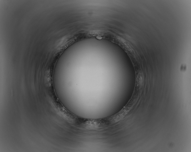 X0000090450764200708031217