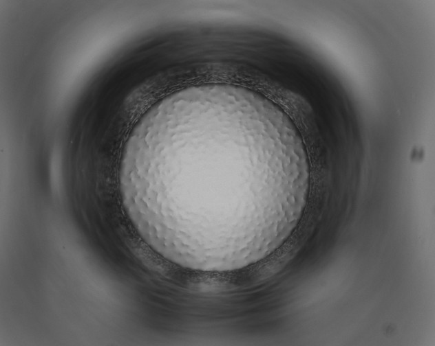 X0000090450765200708031217