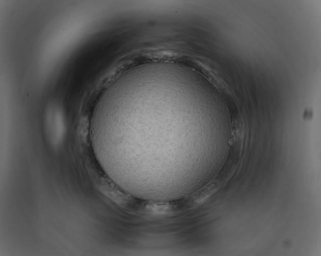 X0000090450767200708031217