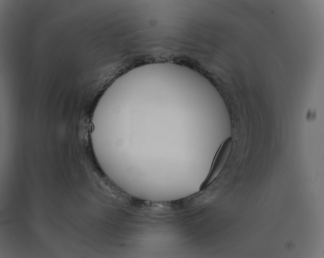 X0000090450768200708031217