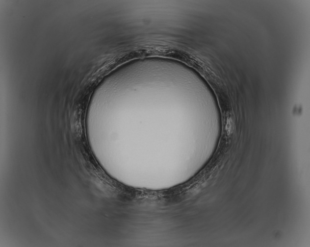 X0000090450771200708031217