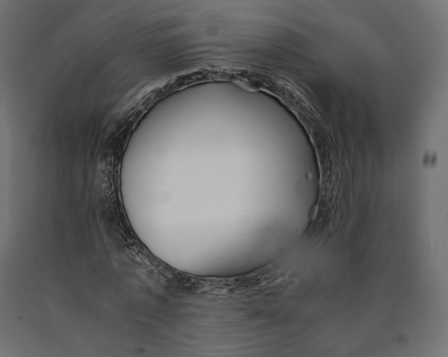 X0000090450773200708031217