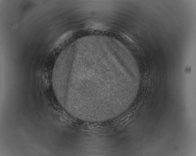 X0000090450774200708031216