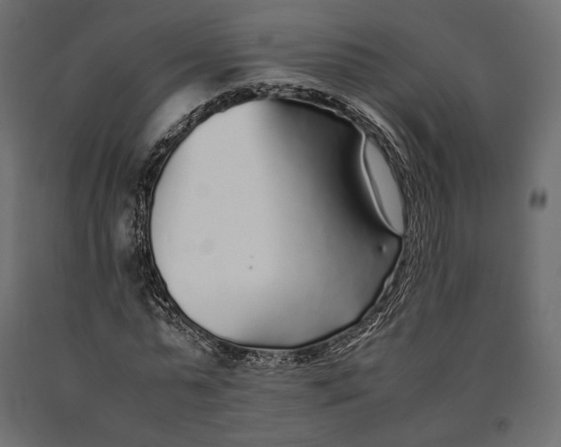 X0000090450775200708031216