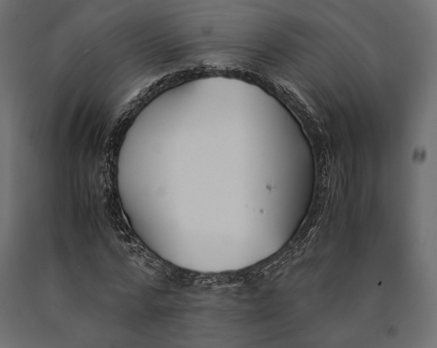 X0000090450776200708031216