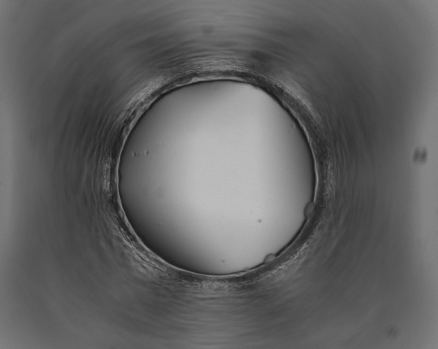 X0000090450777200708031216