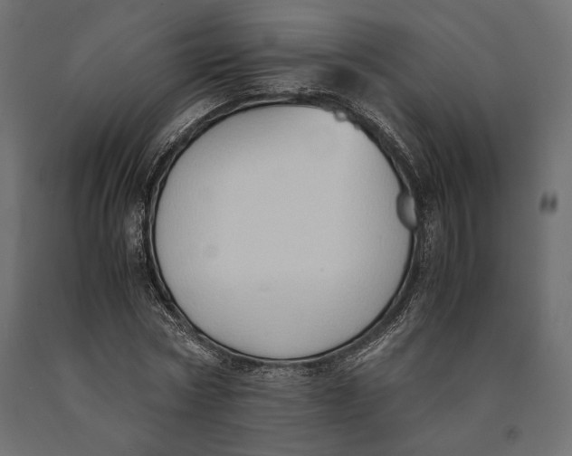 X0000090450778200708031216