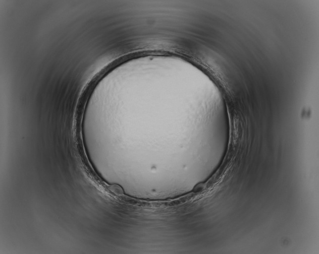 X0000090450780200708031216