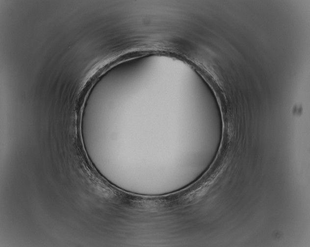 X0000090450781200708031216