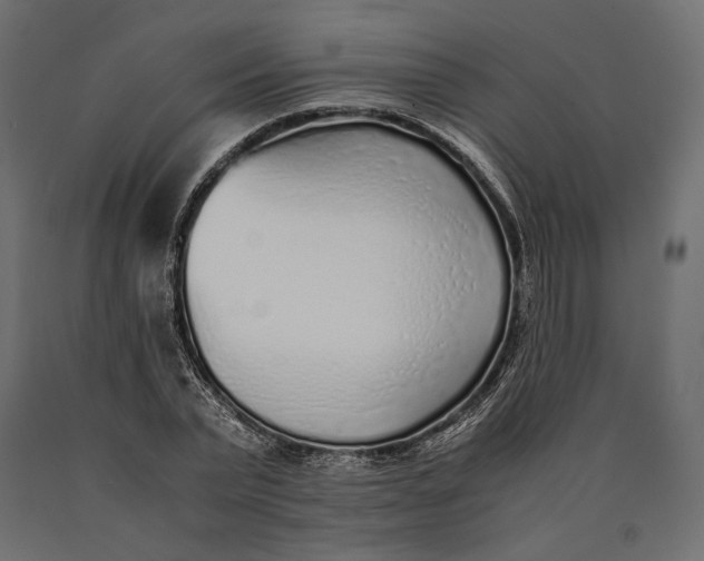 X0000090450783200708031216