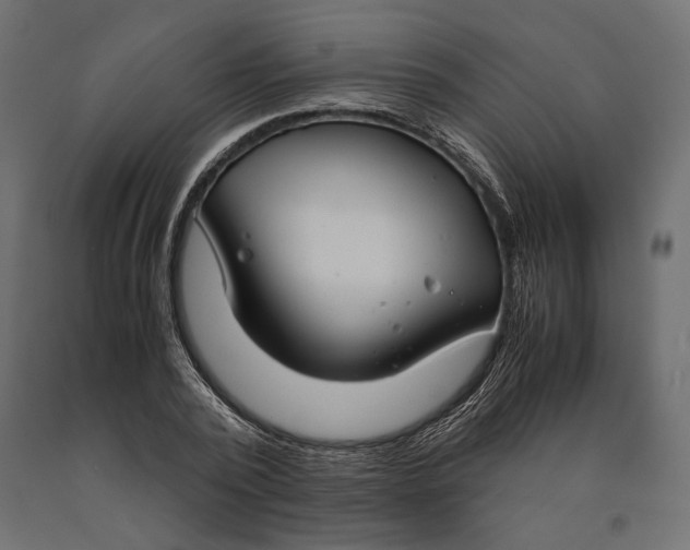 X0000090450784200708031216