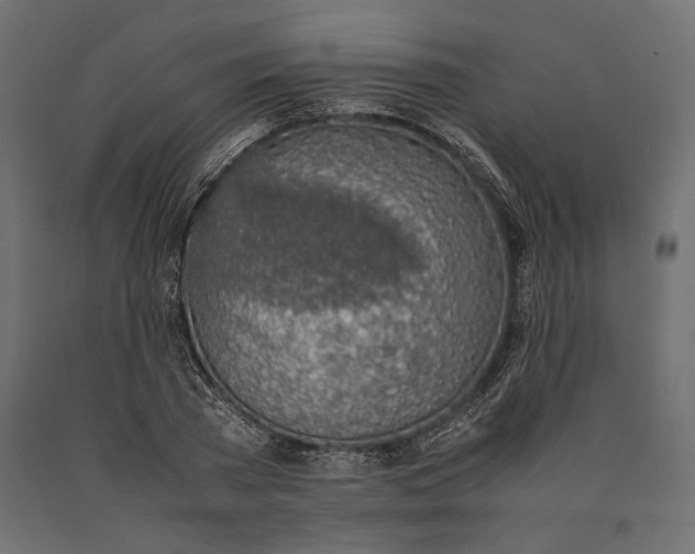 X0000090450785200708031216