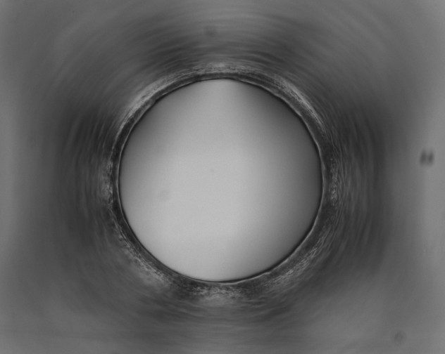 X0000090450786200708031216