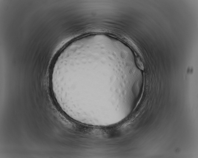 X0000090450787200708031216