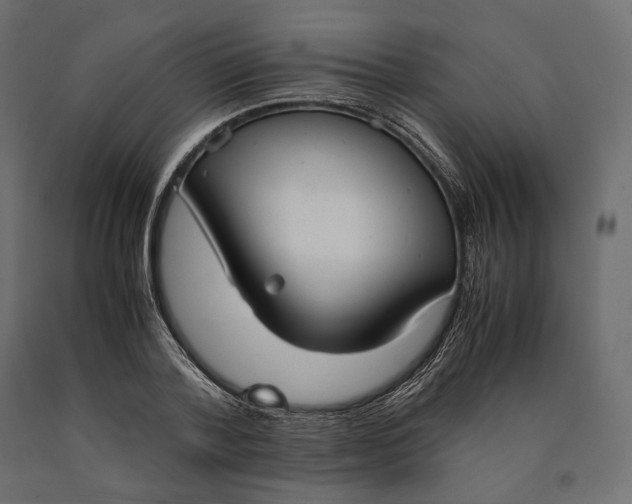 X0000090450788200708031216