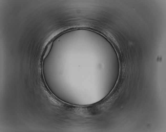 X0000090450789200708031216