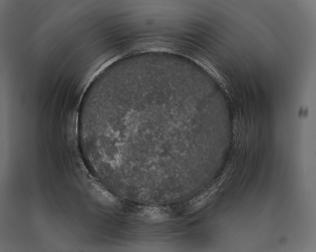 X0000090450790200708031216